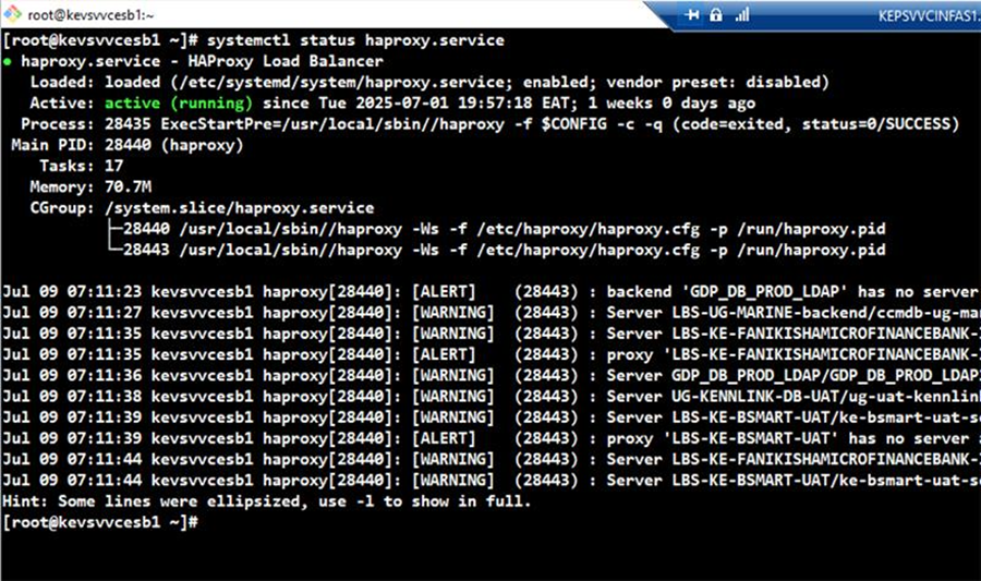 HAProxy Status